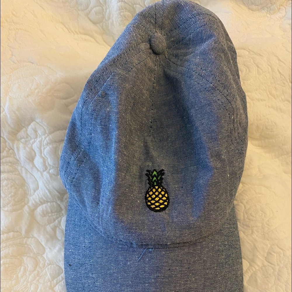 Chambray 🍍baseball cap